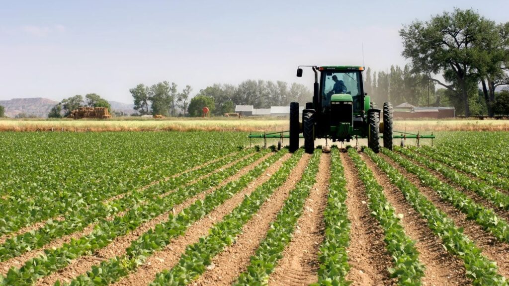 Farming in Ghana