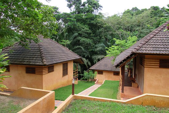 Ankasa Reserve Lodge